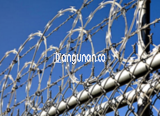 Harga Kawat Duri Per Meter di Bondowoso